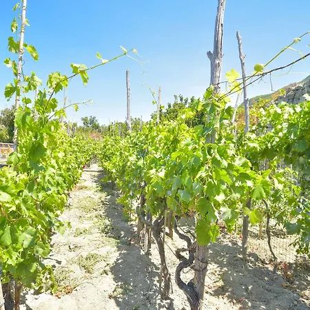 Cimmentorosso Hotell Forio di Ischia