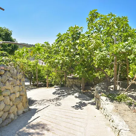 Cimmentorosso Forio di Ischia