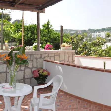 Cimmentorosso Forio di Ischia