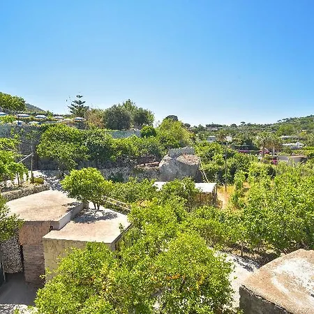 Cimmentorosso Hotel Forio di Ischia