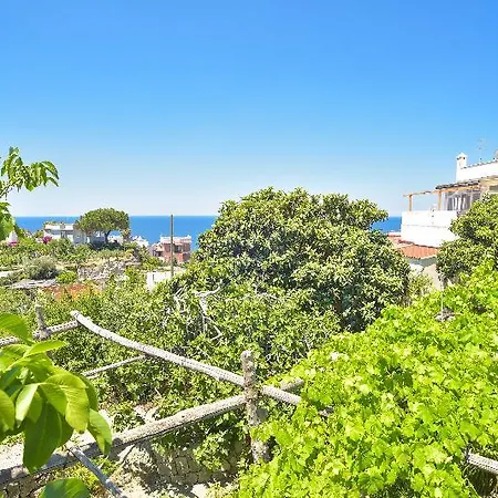 Cimmentorosso 3* Forio di Ischia